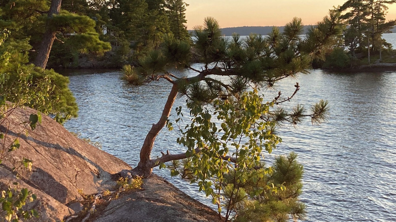 Photo of Outdoor in Nipissing