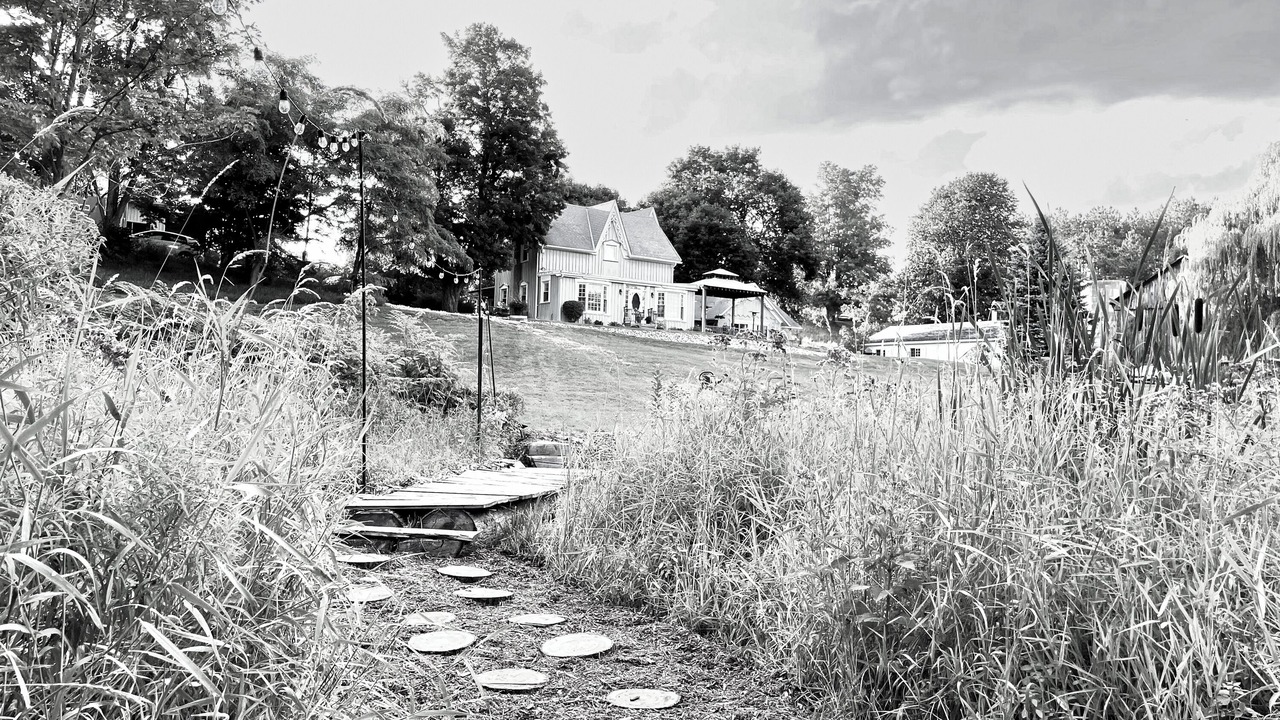 Photo of Outdoor in Mulmur