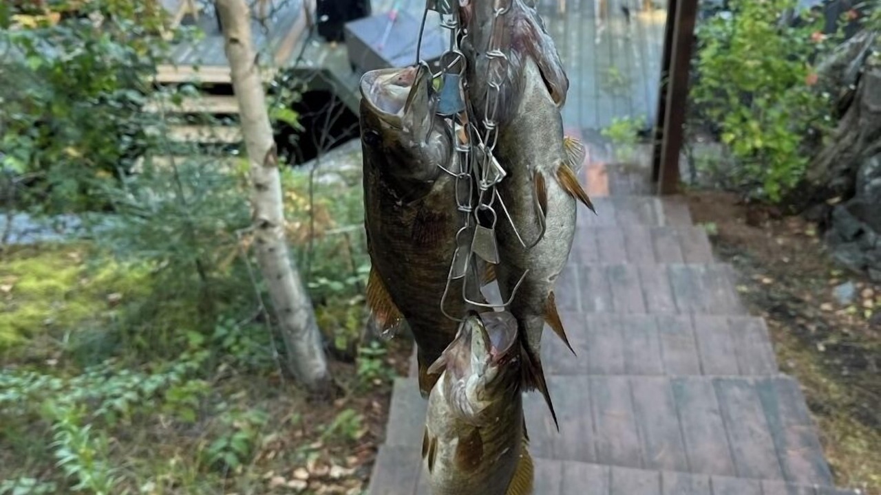 Photo of Outdoor in Temagami