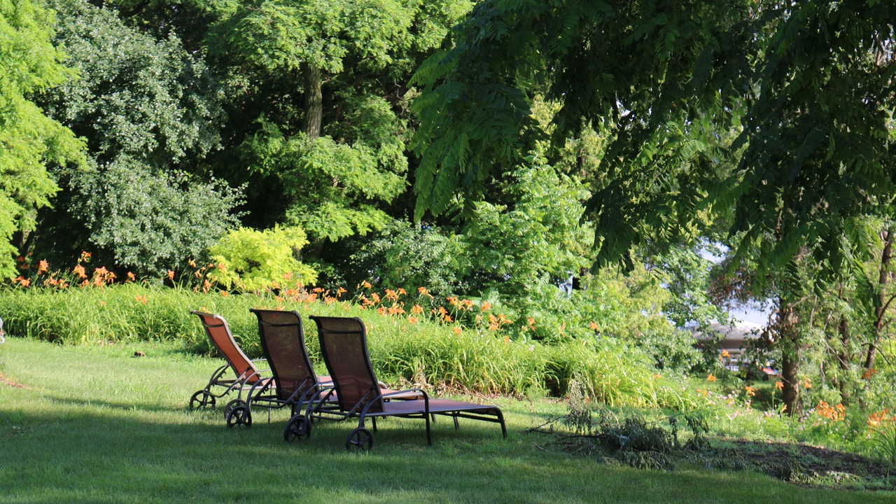 Photo of Outdoor in Brock