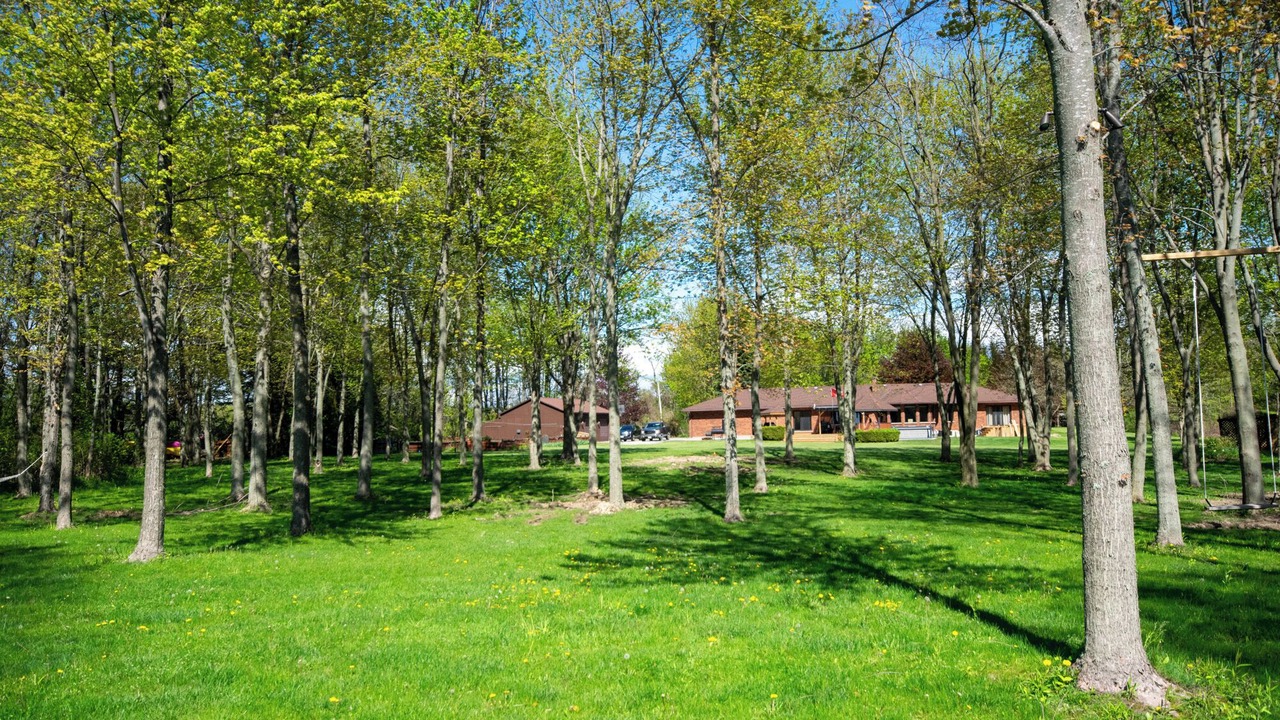Photo of Outdoor in Central Huron