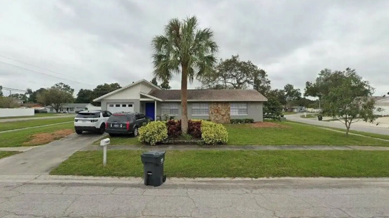Photo of Outdoor in Citrus Park