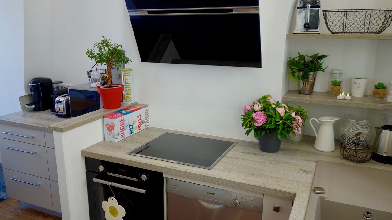 Photo of Kitchen in Jardin des plantes