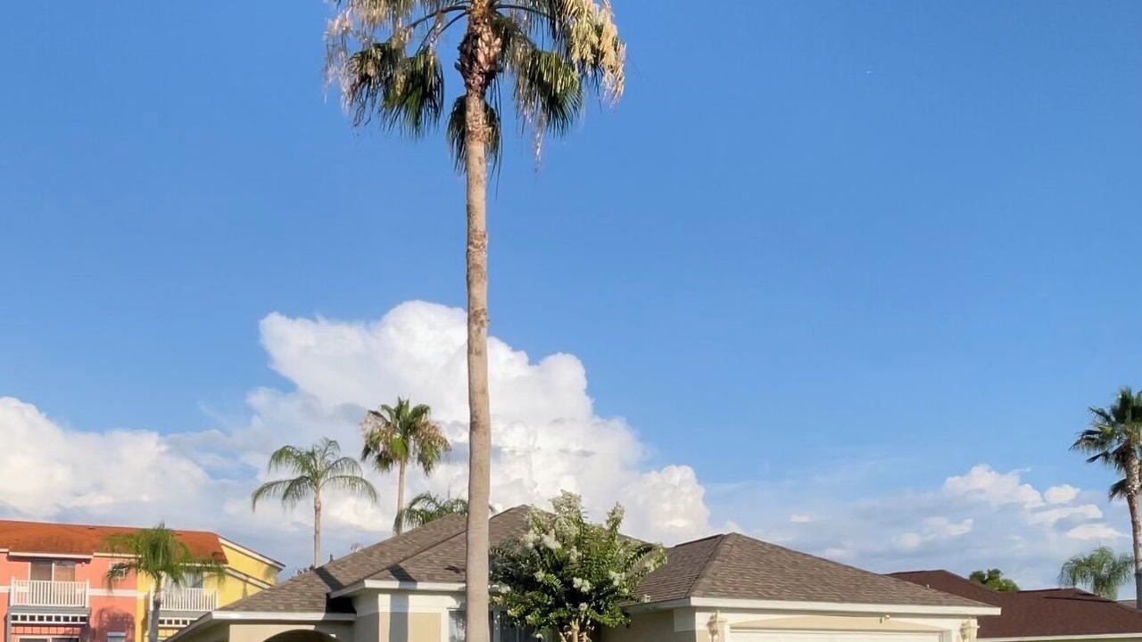 Photo of Outdoor in Bellavida