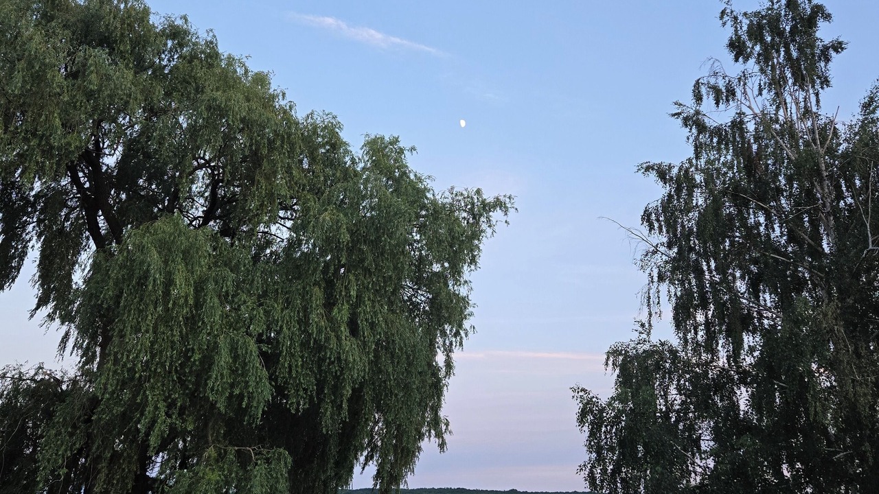 Photo of Others in Leeds and the Thousand Islands