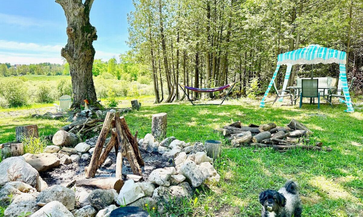 Photo of Outdoor in Grey Highlands