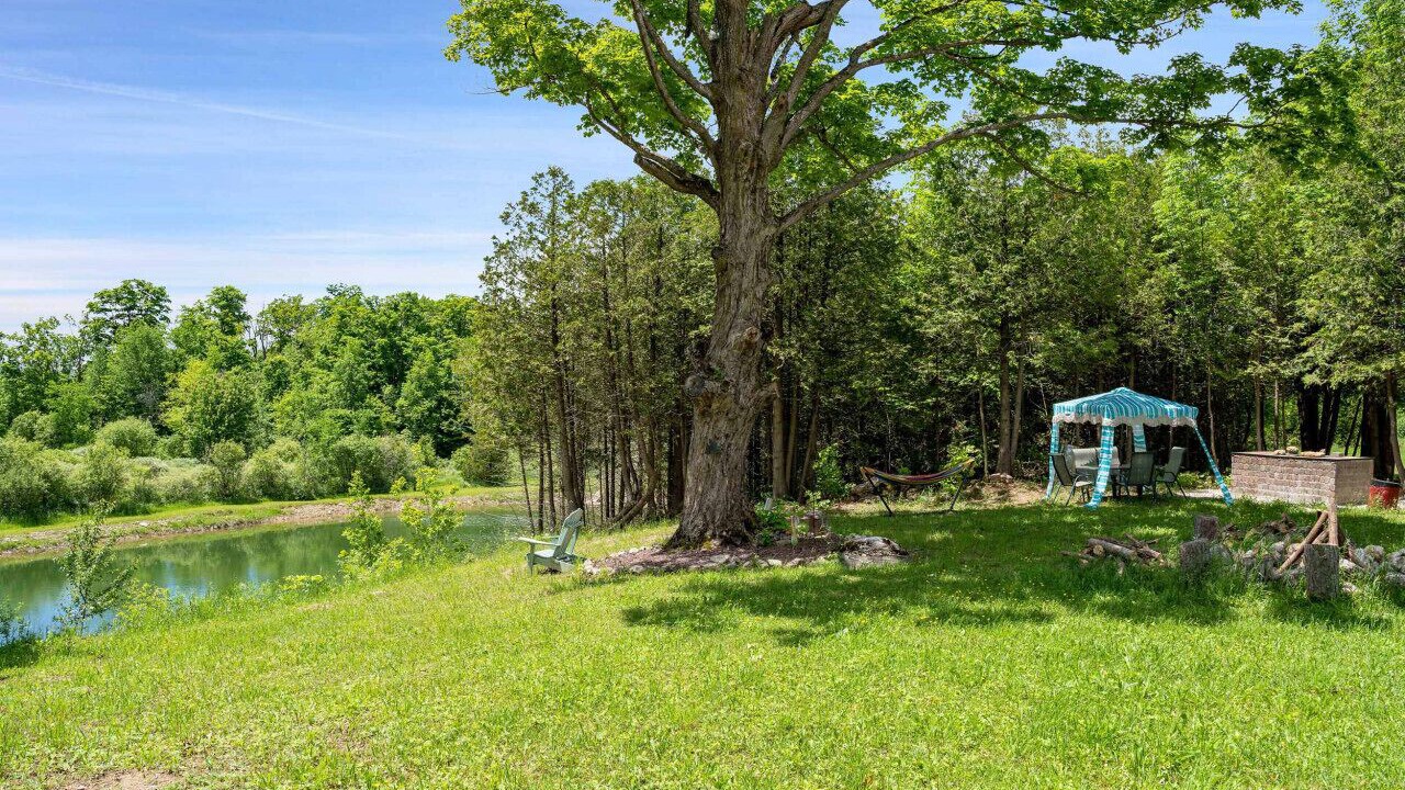 Photo of Outdoor in Grey Highlands