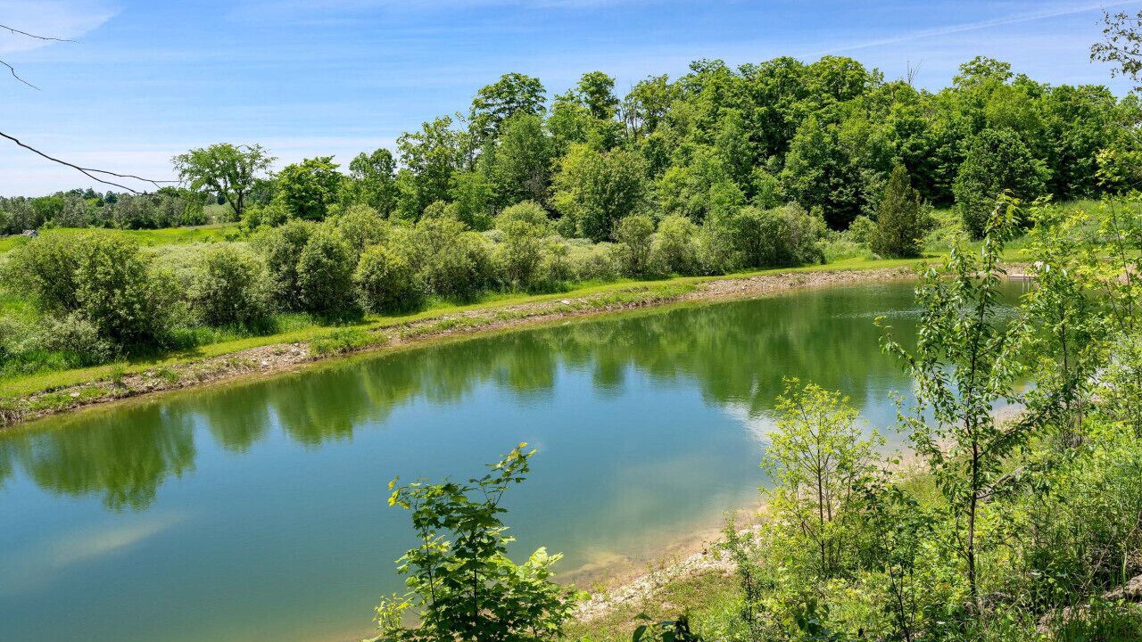 Photo of Outdoor in Grey Highlands