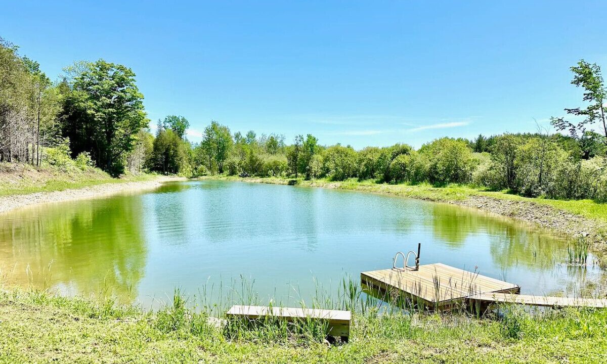 Photo of Outdoor in Grey Highlands