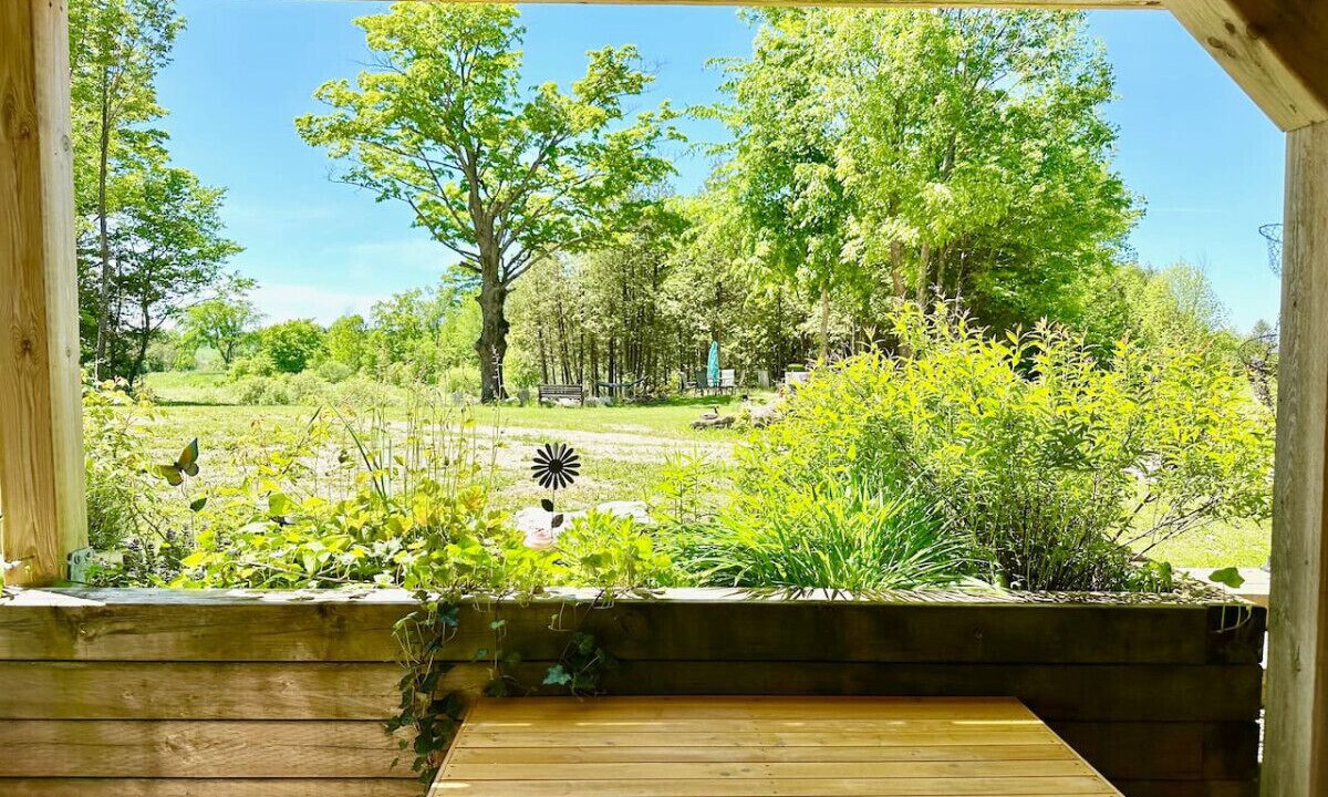 Photo of Outdoor in Grey Highlands