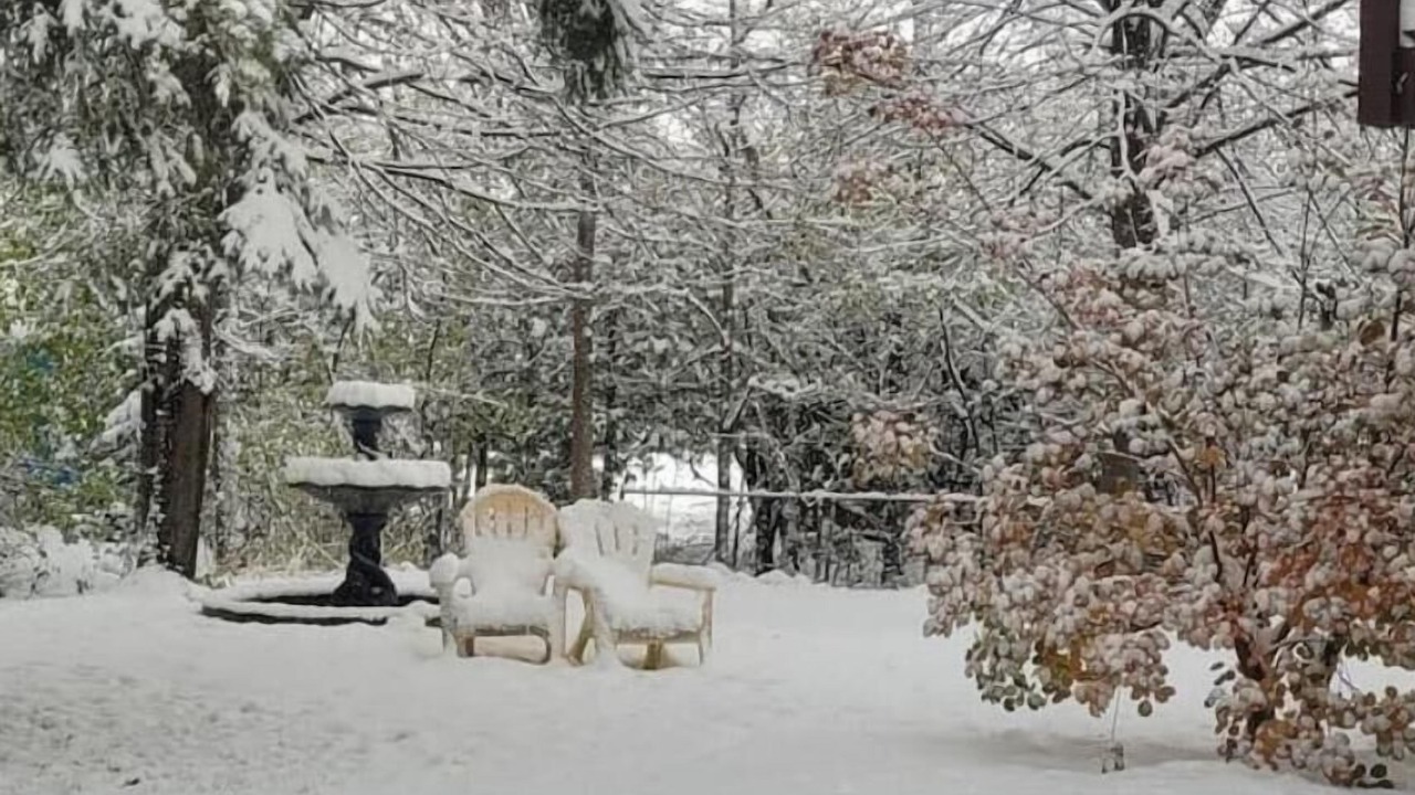 Photo of Outdoor in Collingwood