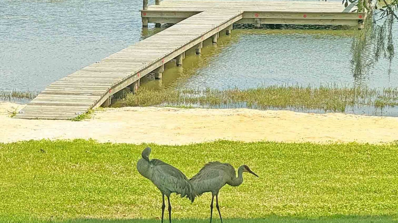 Photo of Others in Lake Placid