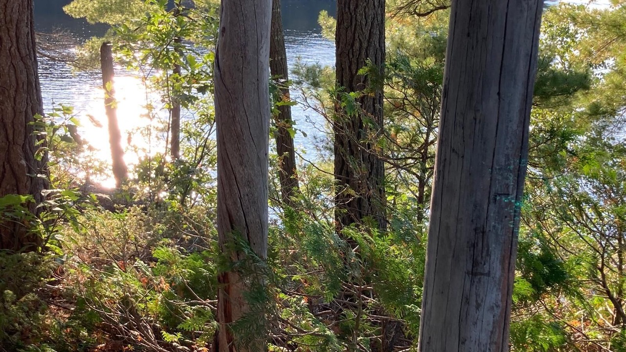 Photo of Outdoor in Rosseau