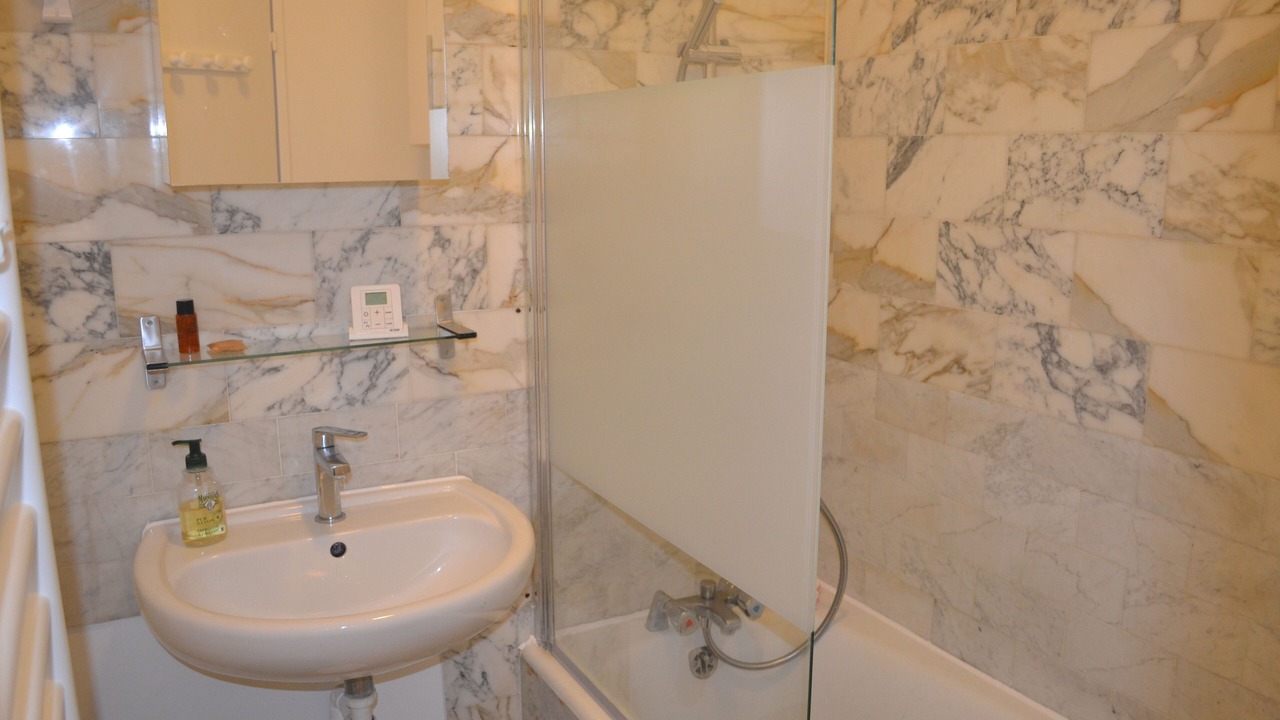 Photo of Bathroom in Les Lilas