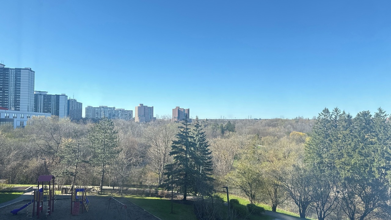 Photo of Others in North York