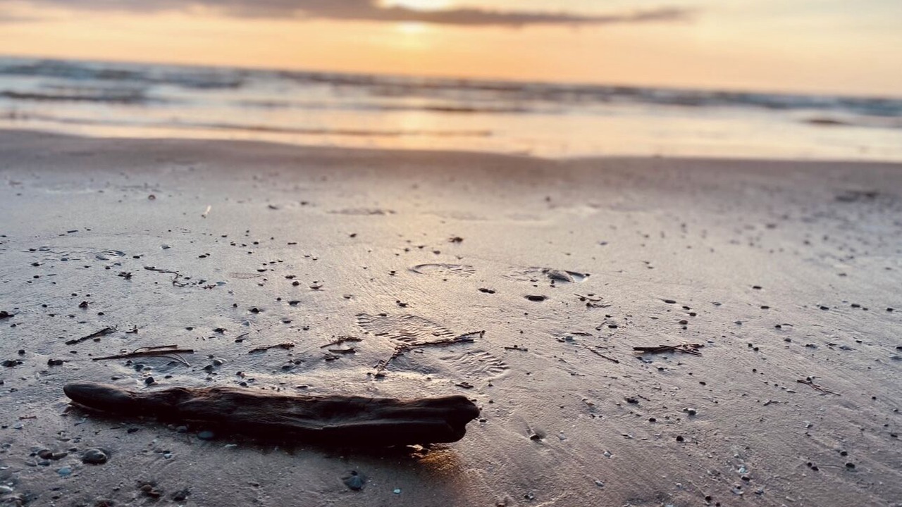 Photo of Others in Sauble Beach