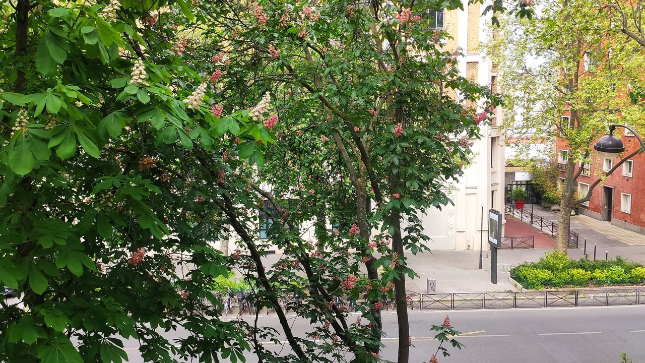 Photo of Outdoor in 5th Arrondissement