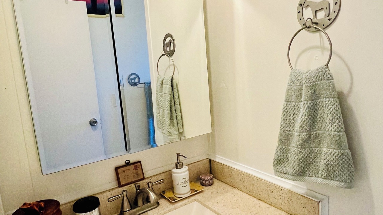 Photo of Bathroom in East County Civic Group