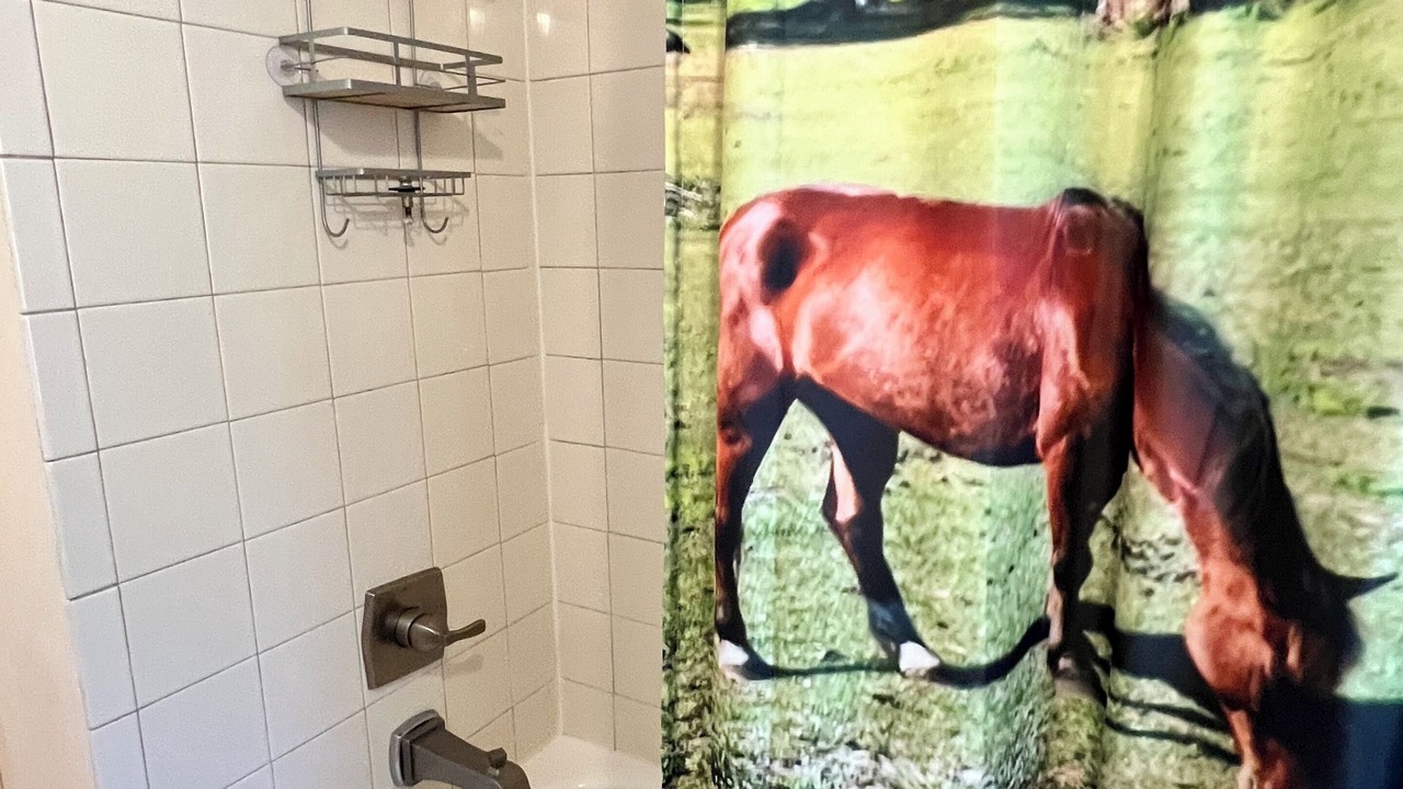 Photo of Bathroom in East County Civic Group