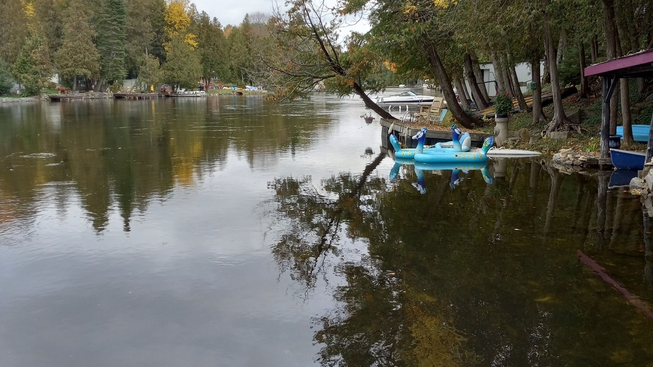Photo of Others in Coboconk