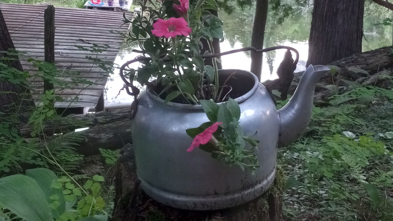 Photo of Outdoor in Coboconk