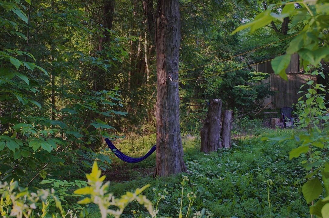 Photo of Outdoor in Saugeen Shores