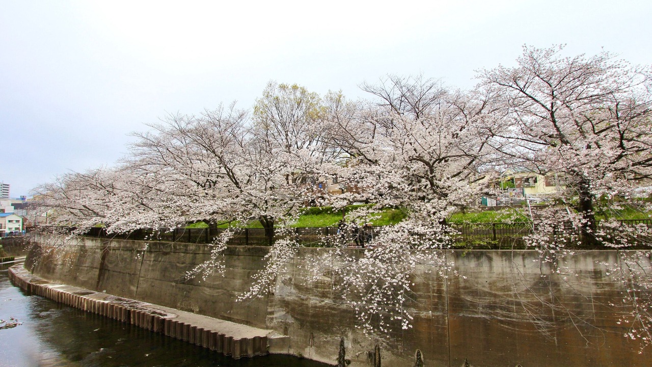 Photo of Others in Kita