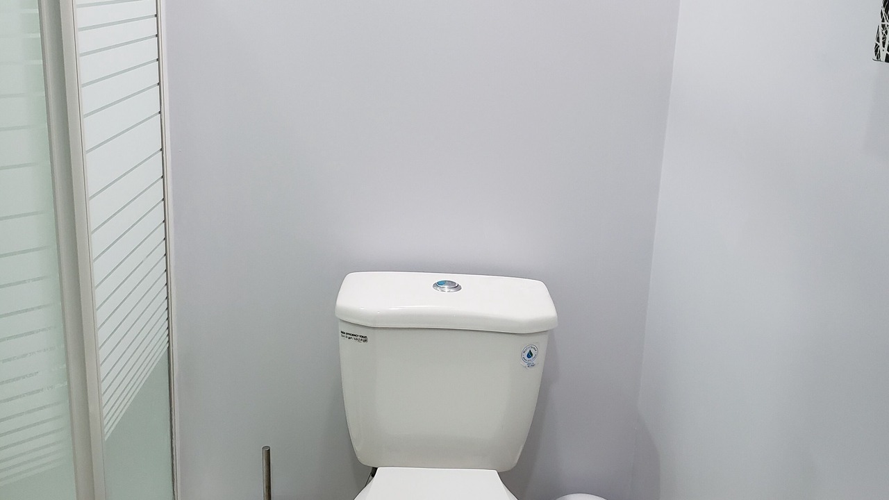 Photo of Bathroom in Brampton