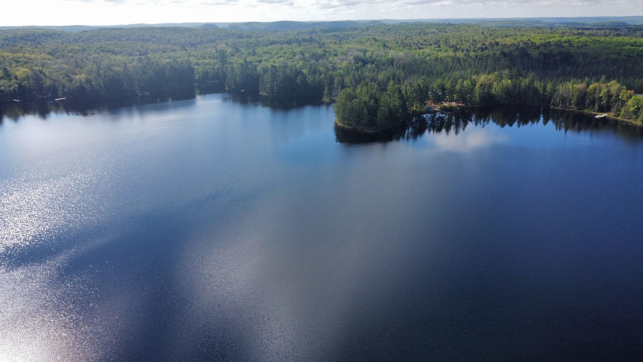 Photo of Outdoor in Novar