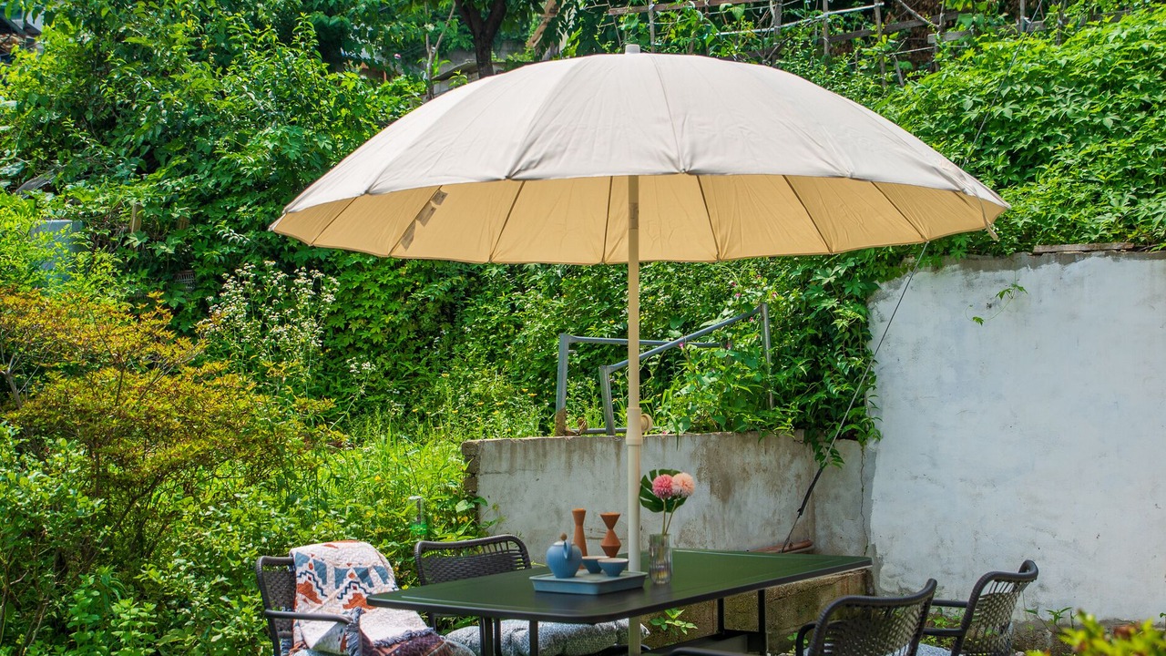 Photo of Outdoor in Seongbuk-dong