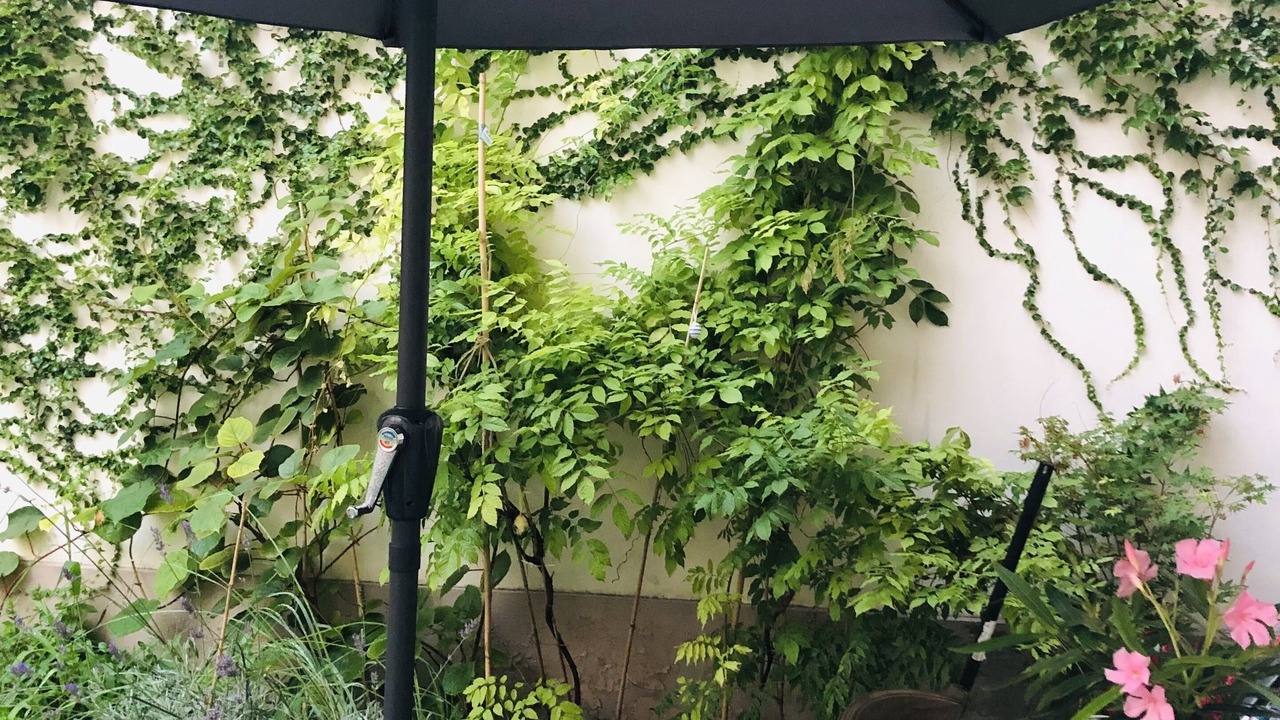 Photo of Outdoor in Croulebarbe