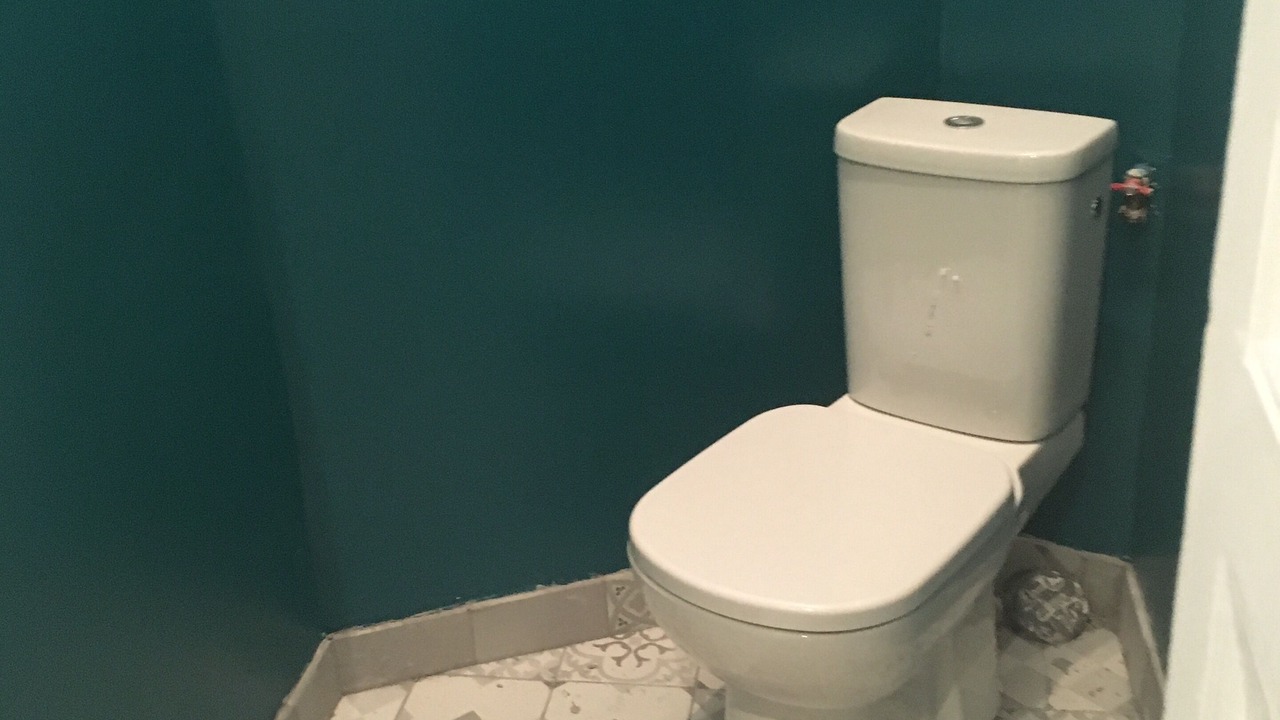 Photo of Bathroom in Croulebarbe