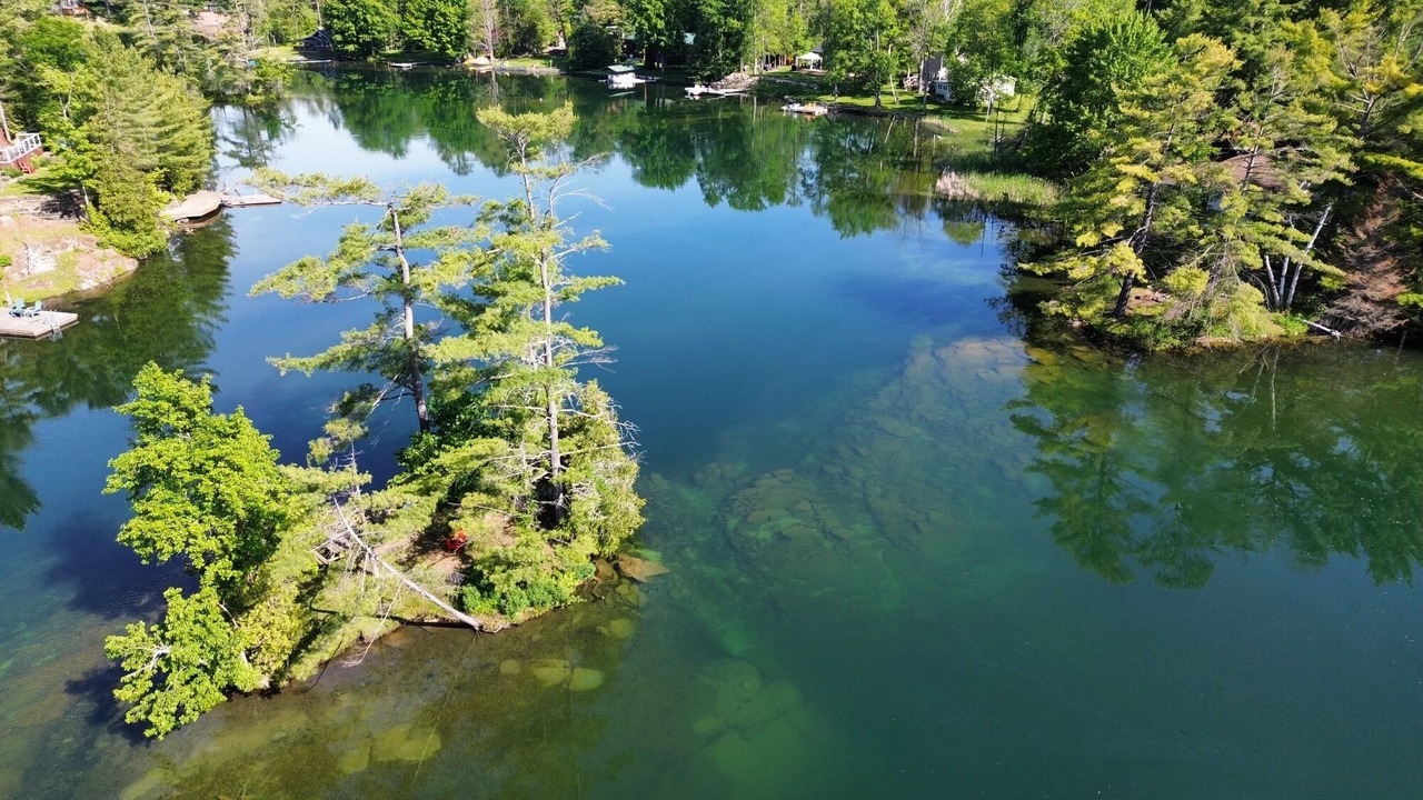Photo of Others in Washago
