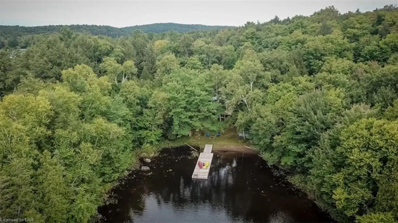 Photo of Outdoor in Lake of Bays