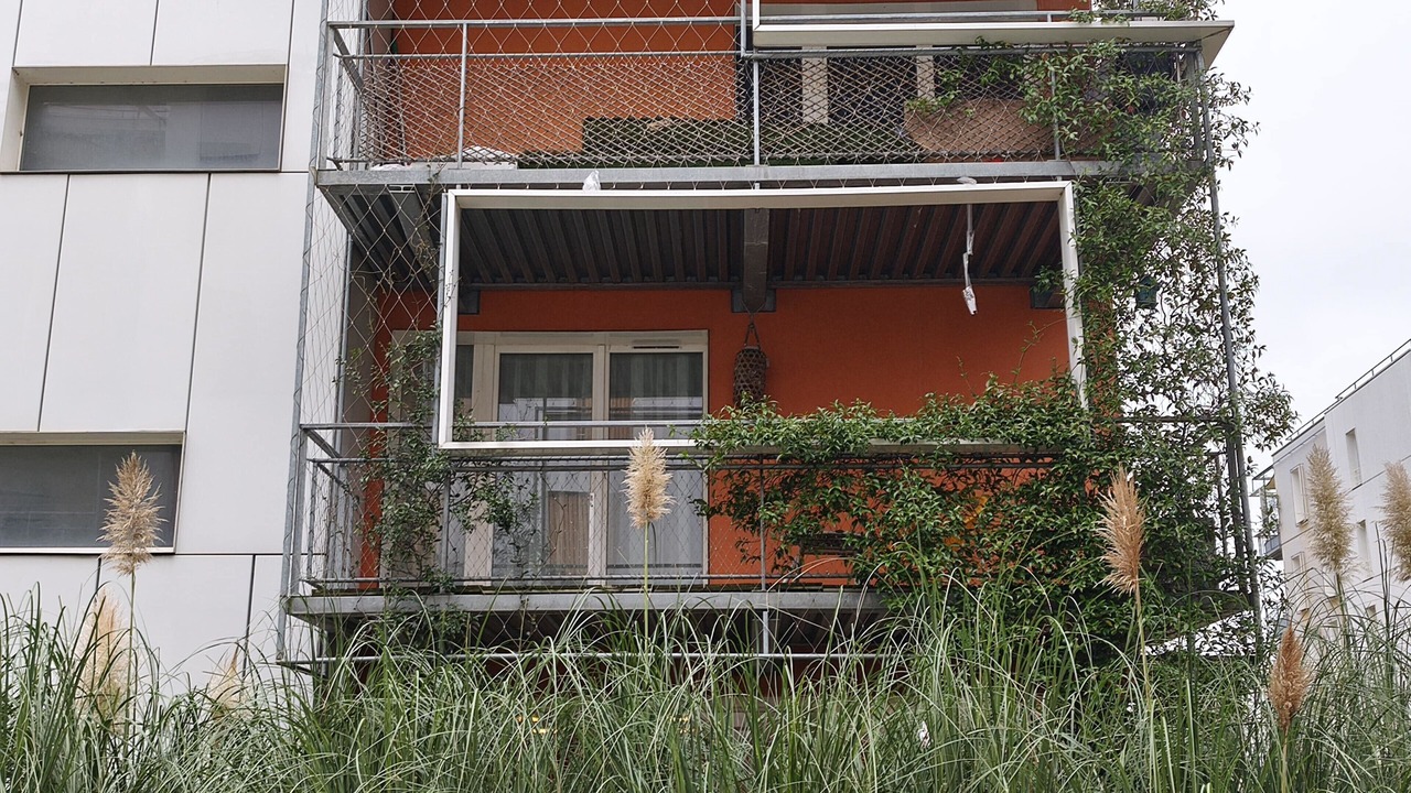 Photo of Outdoor in L'Ile-Saint-Denis