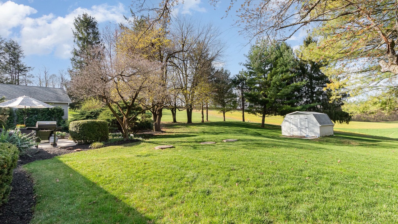Photo of Outdoor in Palmyra