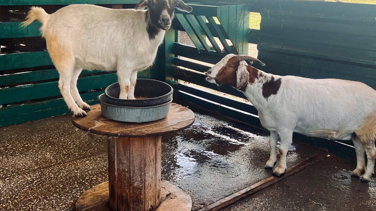 Photo of Others in River Ranch