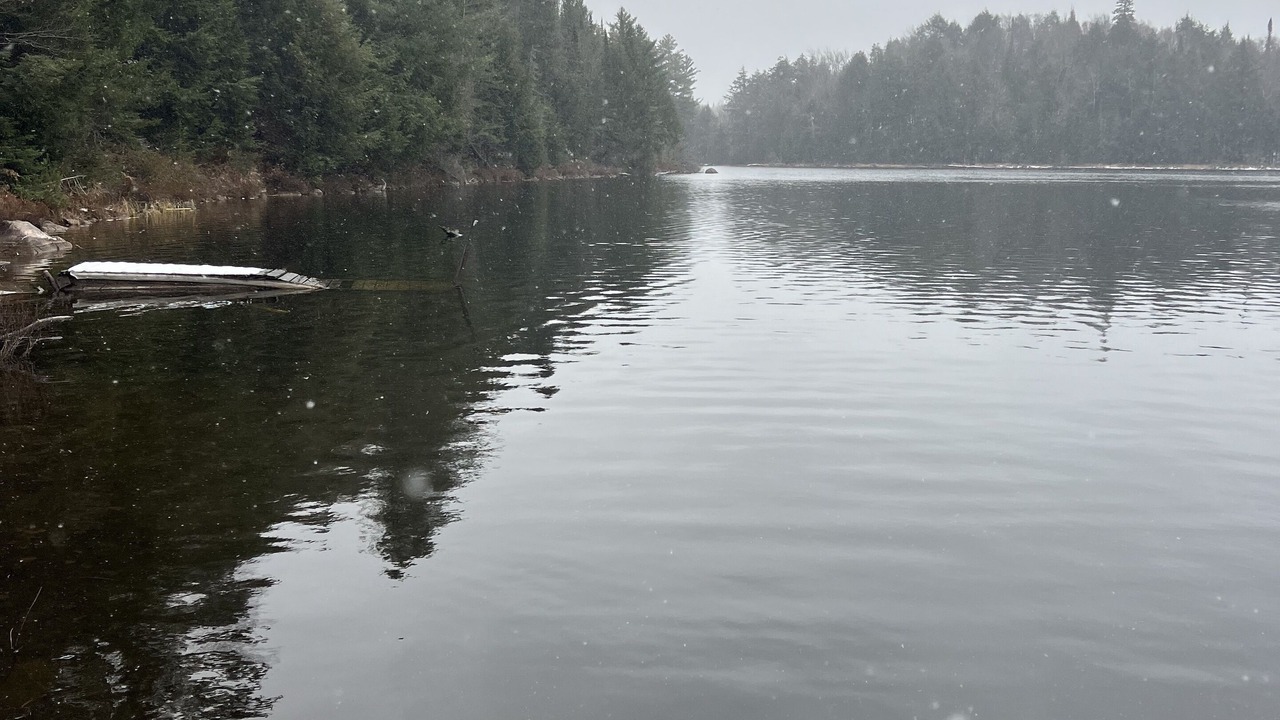 Photo of Others in Unorganized North East Parry Sound