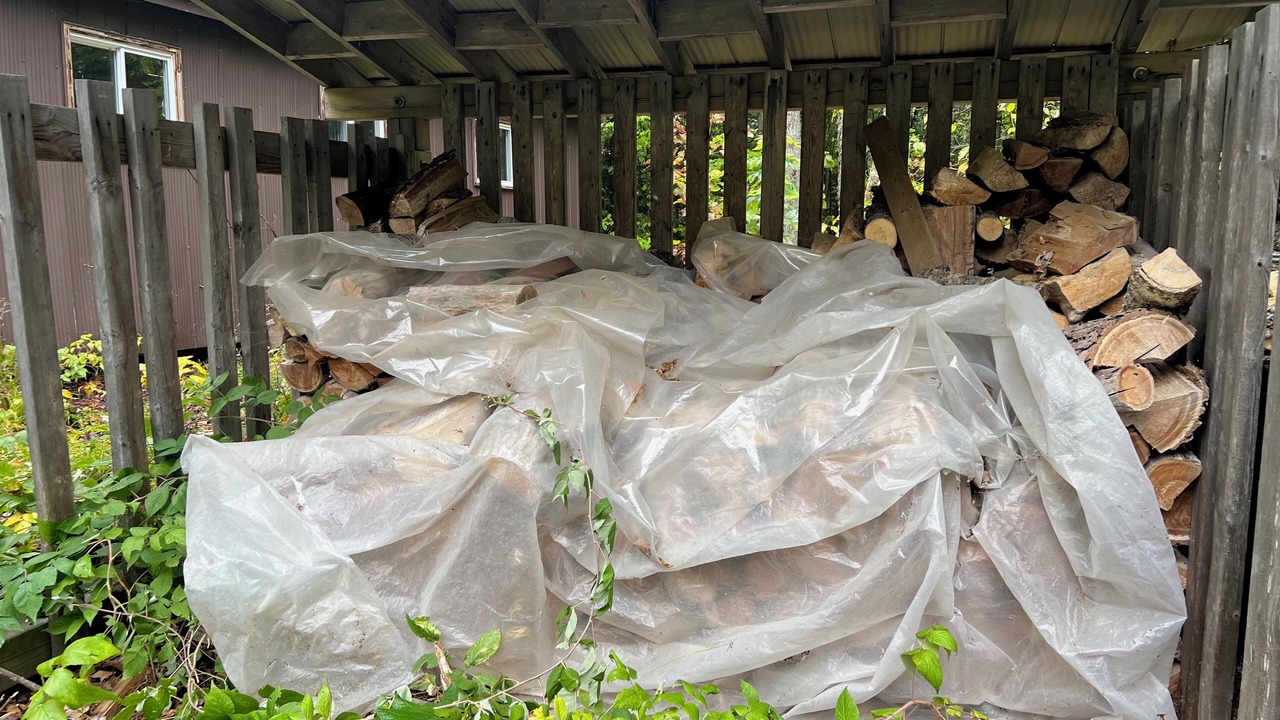 Photo of Outdoor in Unorganized North East Parry Sound