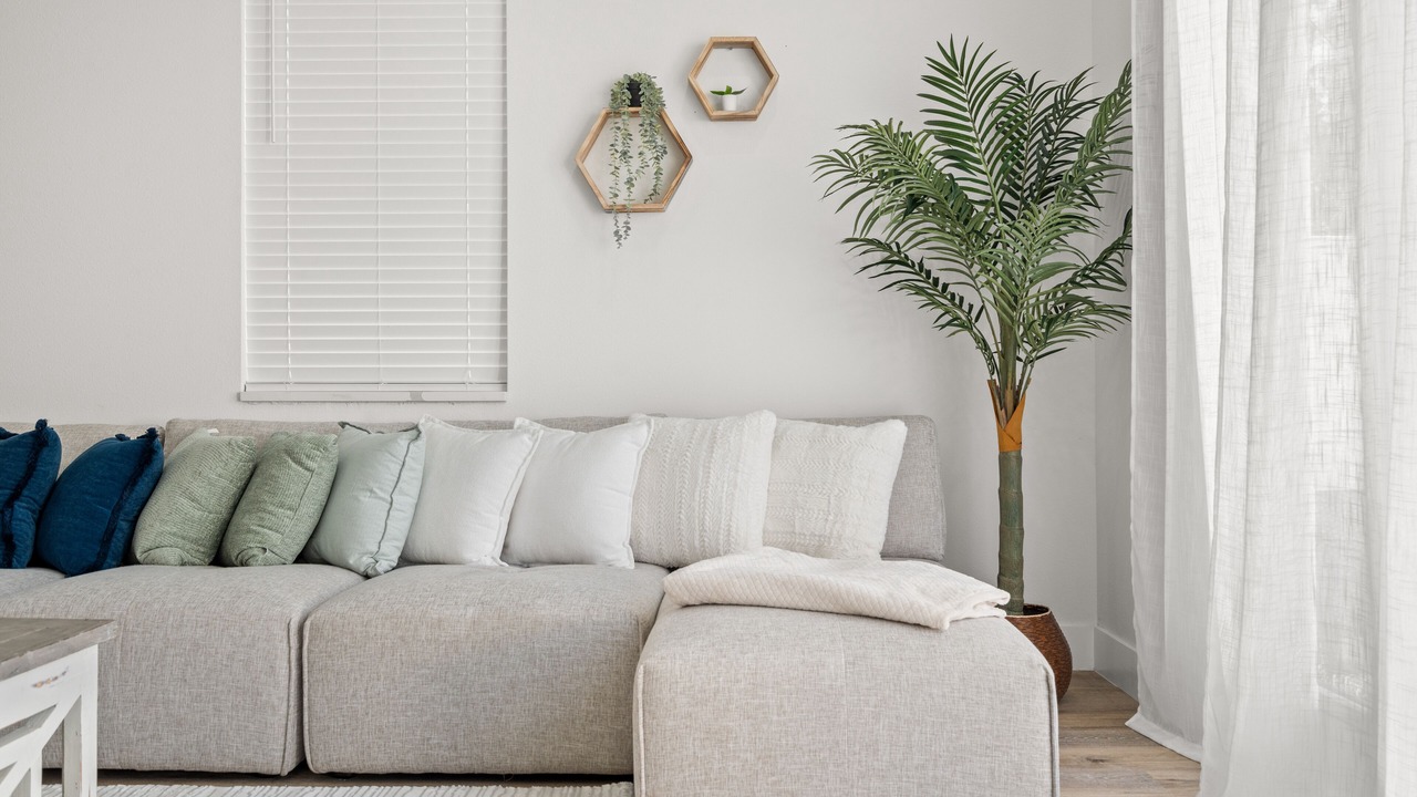 Photo of Livingroom in Carrollwood