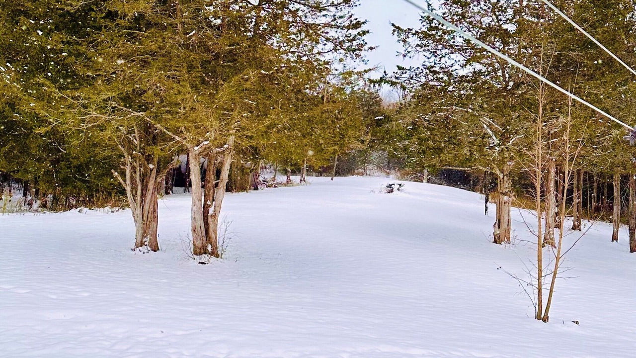 Photo of Others in Greater Napanee