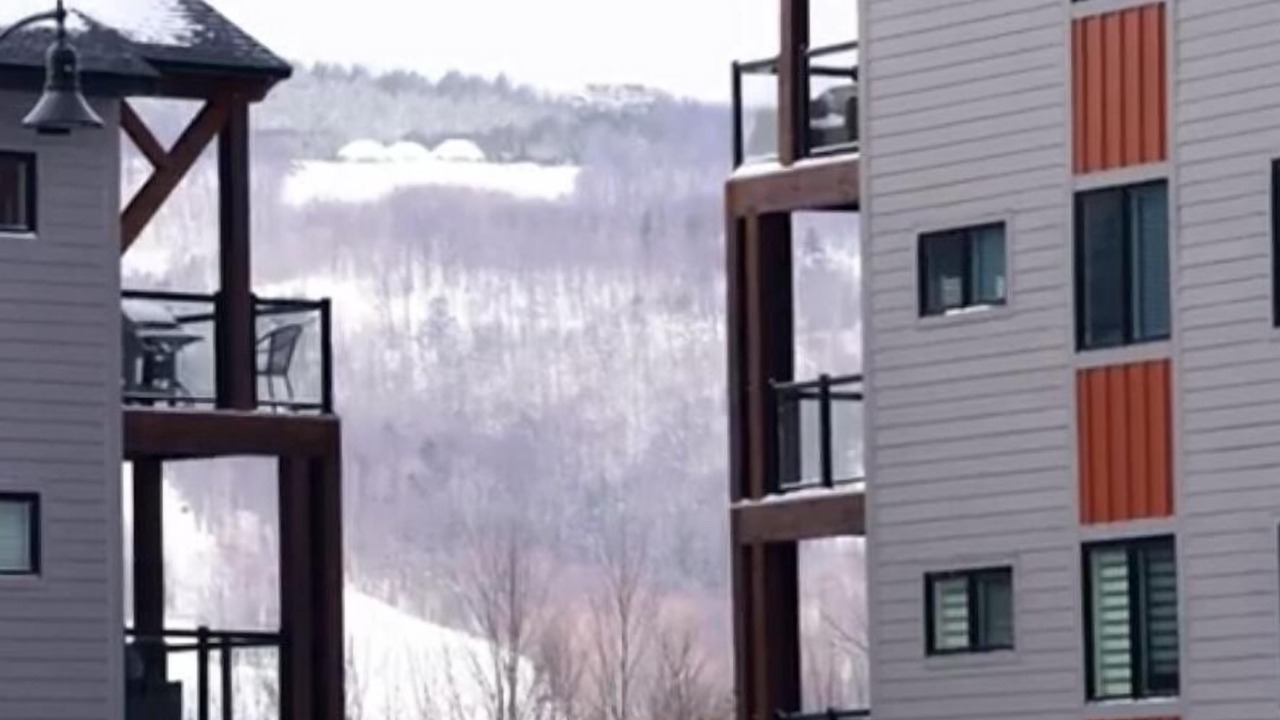 Photo of Outdoor in Collingwood