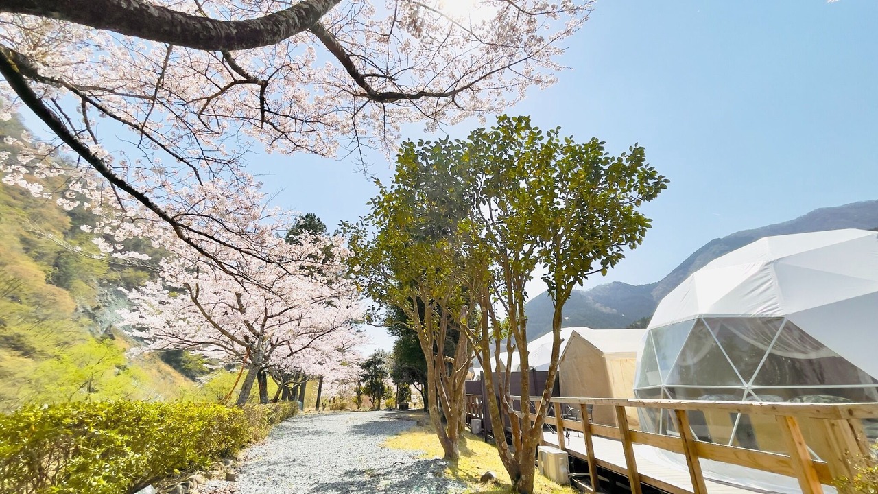 Photo of Bedroom in Yamakita