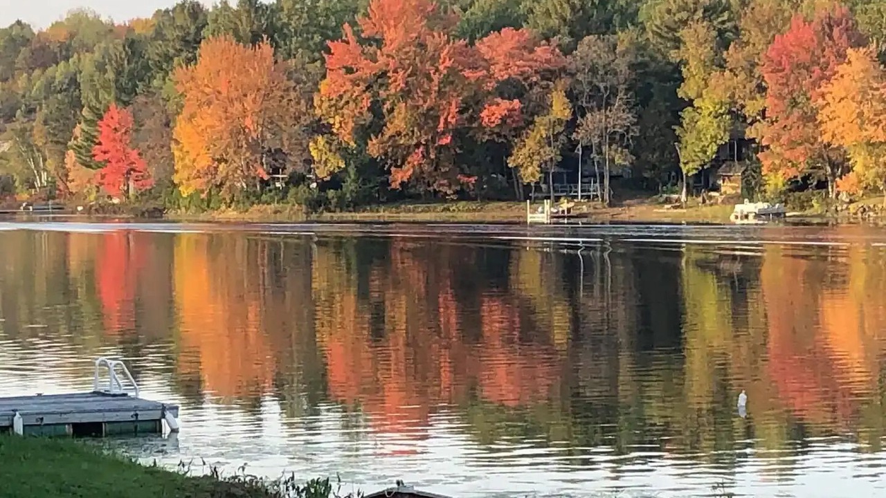 Photo of Others in French River