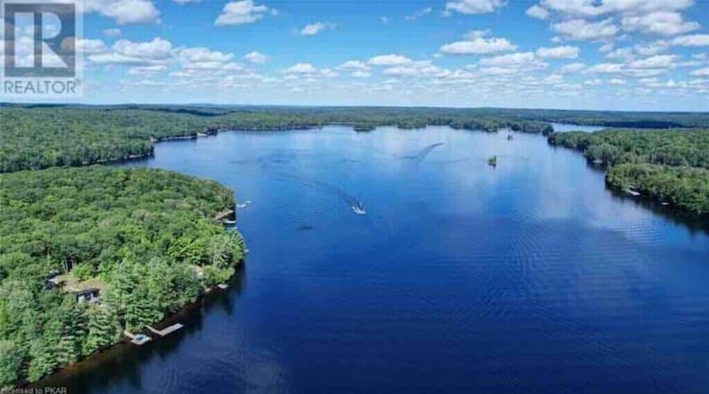 Photo of Others in North Kawartha