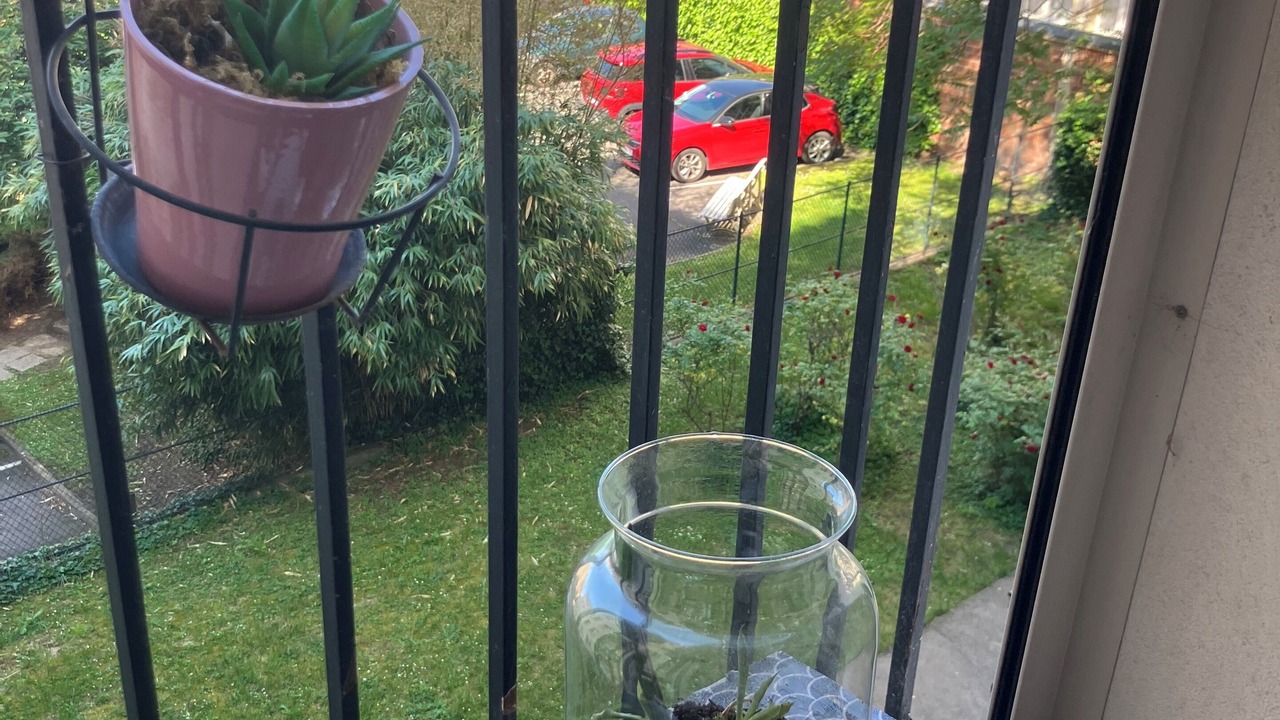 Photo of Outdoor in La Garenne-Colombes