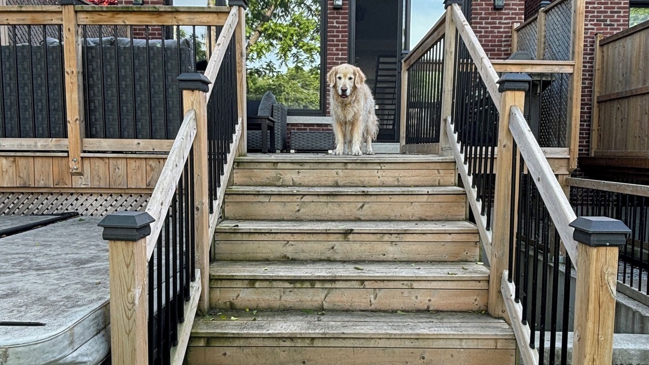 Photo of Outdoor in Long Branch