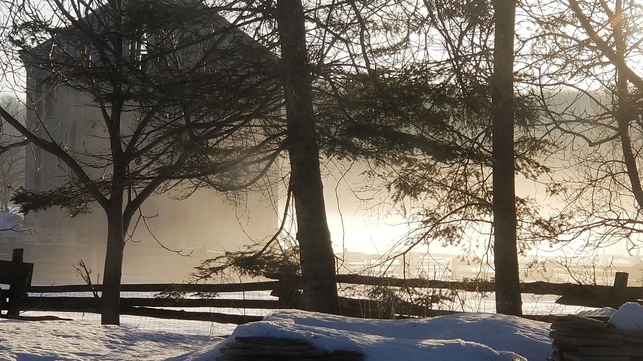 Photo of Others in Georgian Bluffs