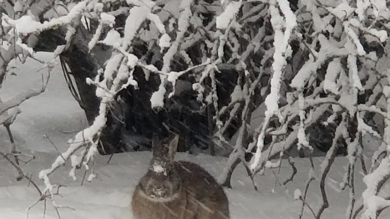 Photo of Outdoor in Georgian Bluffs