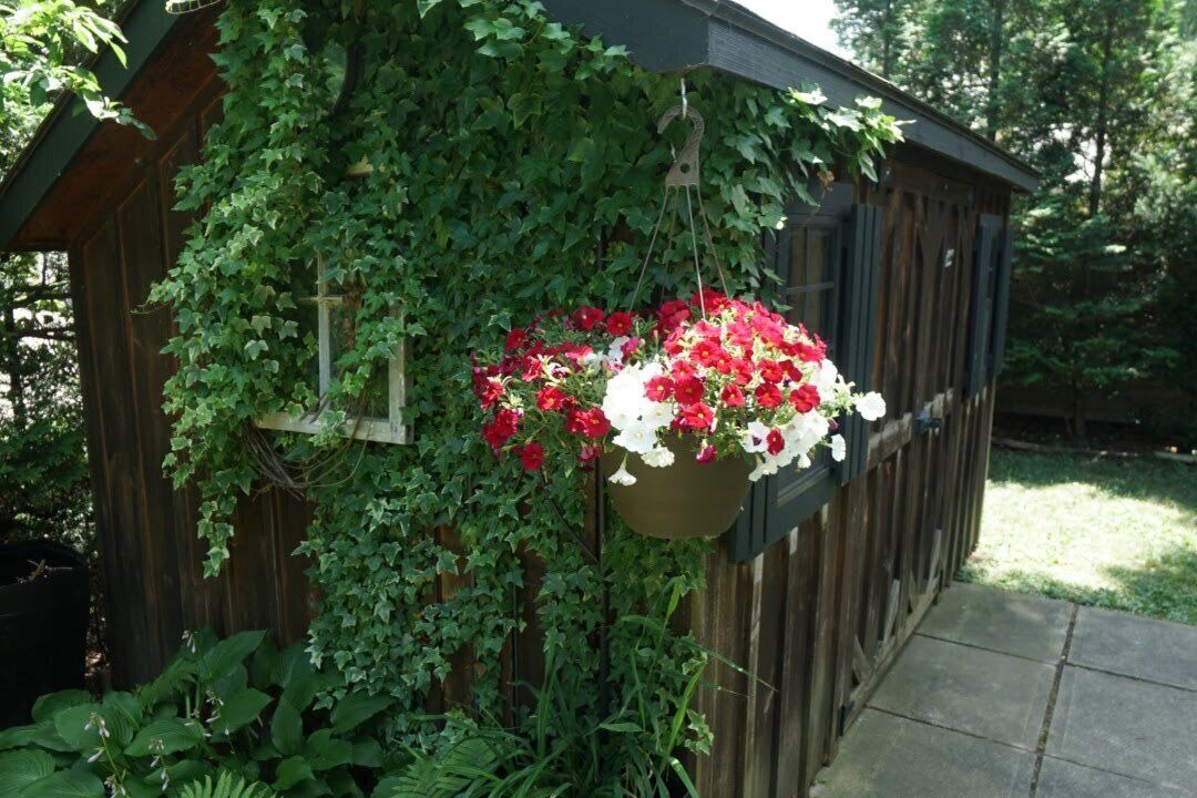 Photo of Outdoor in Brights Grove